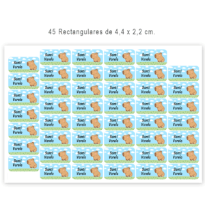 45 u. Rectangulares – Etiquetas de Vinilo lavables para Objetos, Utiles y Cuadernos