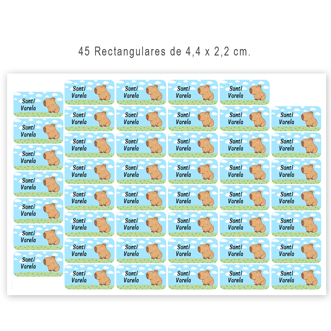 45 u. Rectangulares - Etiquetas de Vinilo lavables para Objetos, Utiles y Cuadernos - Imagen 2